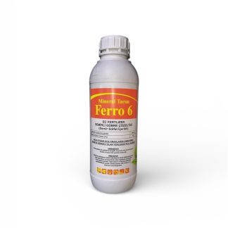 Ferro 6